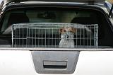 VOITURE - CAR 111